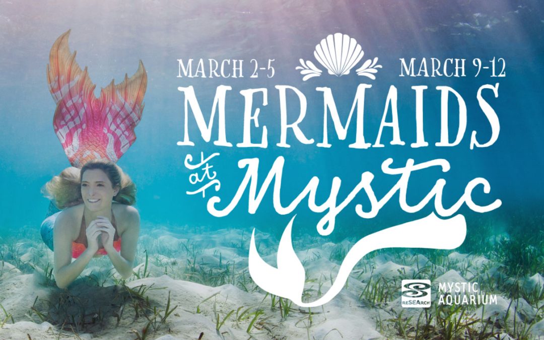 Mermaids at Mystic 2023
